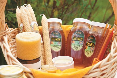 Pricing Your Honey Keeping Backyard Bees