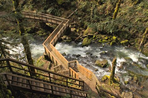 Hike to the Extraordinary Waterfalls of McDowell Creek Falls County Park — Pines and Vines