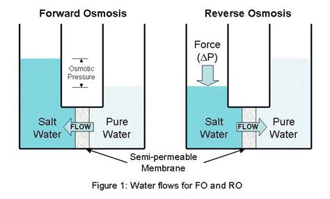 A Novel Forward Osmosis Draw Solution | AIChE