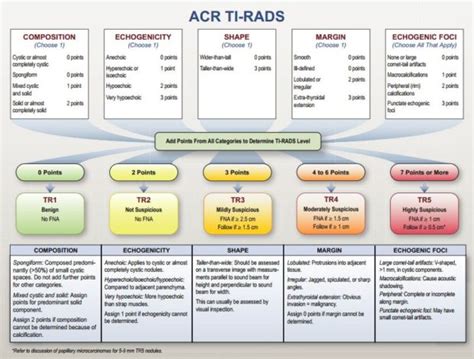 TI-RADS Calculator – TI-RADS Calculator