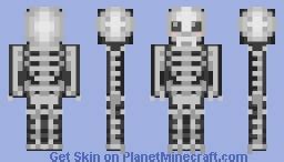 Minecraft Skeleton Costume Skin