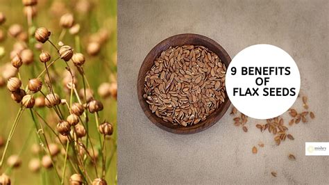 9 Popular And Well-Known Benefits Of Flax Seeds