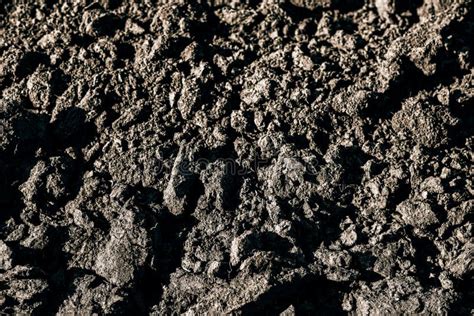 Earth Soil Humus Background Stock Image - Image of humus, dirt: 267760983