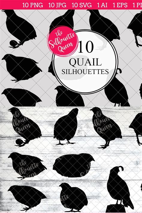 Quail Silhouette Vector Graphics – MasterBundles