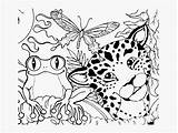Free Printable Coloring Pages Rainforest sketch template
