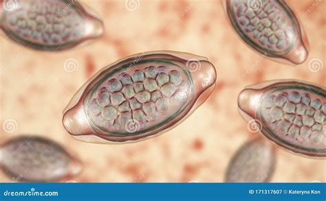 Roundworm Stock Illustration | CartoonDealer.com #81899518