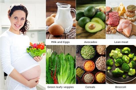 Foods To Eat In 8th Month Of Pregnancy - PregnancyWalls