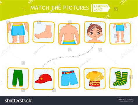 288 Matching Body Parts Images, Stock Photos, 3D objects, & Vectors | Shutterstock