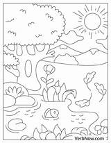 Free NATURE Coloring Pages For Download Printable PDF sketch template