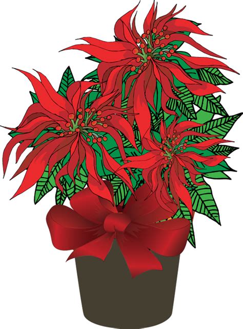 Free Poinsettia Border Cliparts, Download Free Poinsettia Border Cliparts png images, Free ...