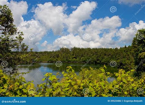 Grand bassin lake stock photo. Image of beautiful, lakeside - 39523486