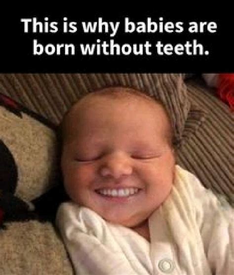 If babies had teeth : r/memes