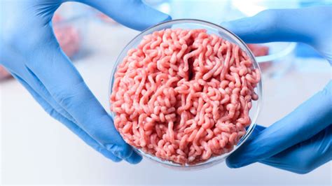 FDA and USDA announce production of lab-grown meat - JURIST - News