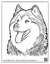 Husky Dog Free Coloring Pages sketch template