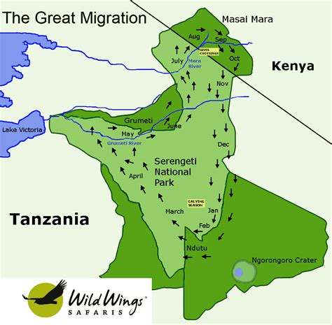 Greater Serengeti Migration Area | Tanzania
