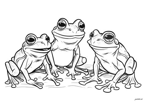 Three beautiful frogs - Frogs Kids Coloring Pages