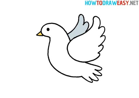 How to Draw a Dove | Drawings, Dove drawing, Bird drawings