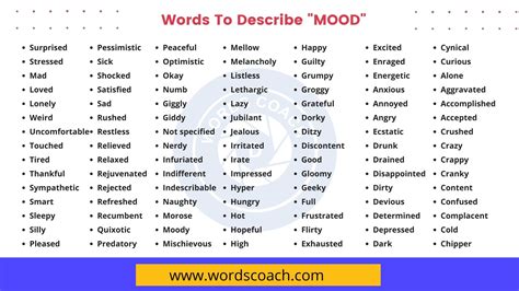 Words To Describe MOOD - Word Coach