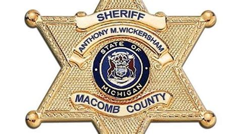 Macomb County Sheriff Deputies save toddler found in pool