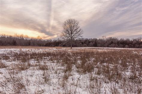 Snow and Tree by Kristopher Schoenleber | Nature photography, Art ...