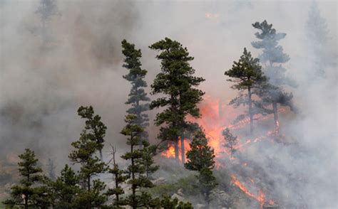 Western Wildfires Getting Worse in a Warming World - Center for ...