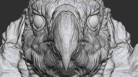 ArtStation - Vulture head | Resources