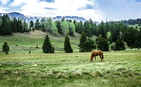 Vermejo Park Ranch | northern New Mexico outdoor activities, hunting ...