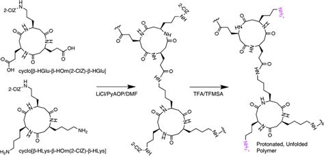 Cyclic β-tripeptide polymer synthesis scheme. Cyclic peptides were... | Download Scientific Diagram