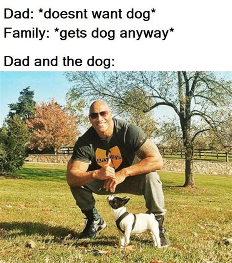 50 Wholesome Clean Memes That Bring the Feels - Funny Gallery | eBaum's ...