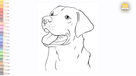 Lab Dog Drawing