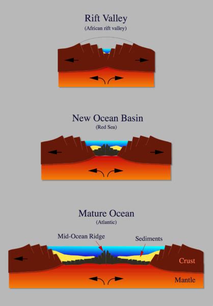 [DIAGRAM] Ocean Rift Diagram - MYDIAGRAM.ONLINE