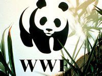 World Wildlife Fund Logo Designed by Landor & Associates | Immigrant ...