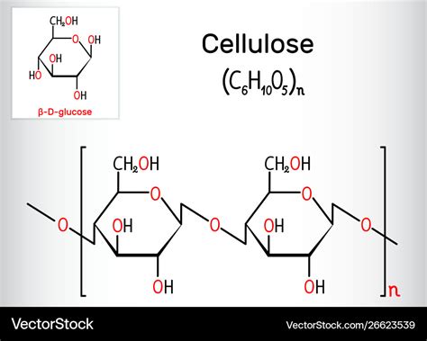 Cellulose polysaccharide molecule Royalty Free Vector Image