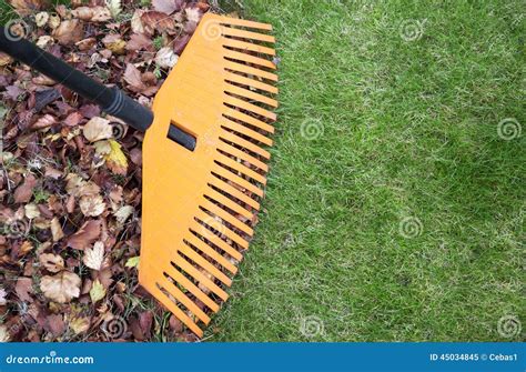 Rake and leaves stock image. Image of outdoor, fall, piled - 45034845