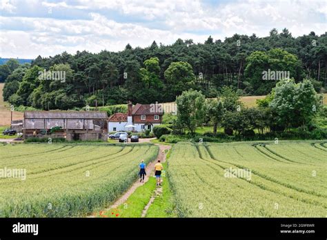 The view looking south from Newlands Corner in the Surrey countryside on a summers day, England ...