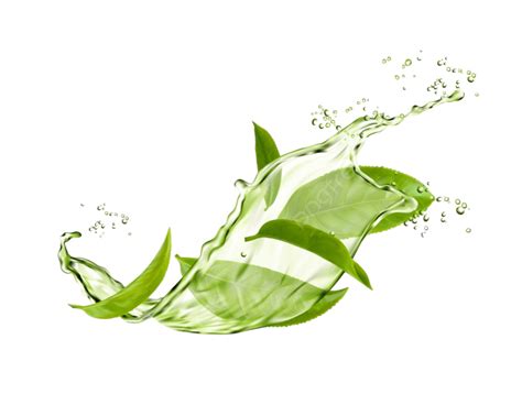 Green Tea Herbal Vector Hd Images, Herbal Drink Wave Splash With Green ...