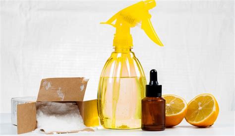 Essential Oils for Cleaning - Best 8 Oils + Cleaning Recipes