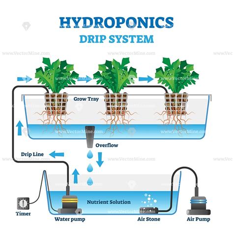 Hydroponics vector illustration | Hydroponics, Drip system, Hydroponics ...