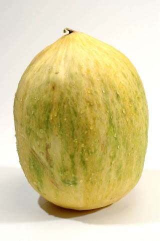 10 Types of Melon and Their Nutritional Values - Nutrition Advance