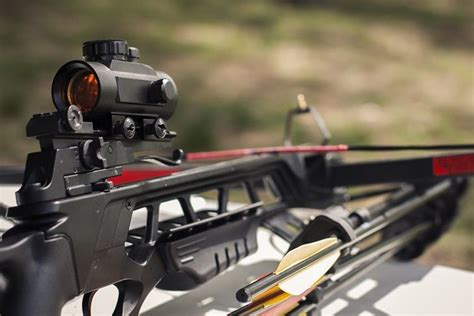 Jaguar Crossbow Review and Guide – Bow Sight Guide