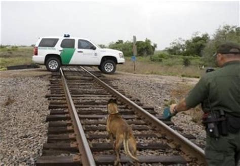 Border Patrol Dog Use Along The US-Mexico Border Growing