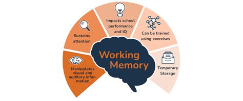 Working Memory in Cognitive Development, Learning and Academic Performance – Learnfully