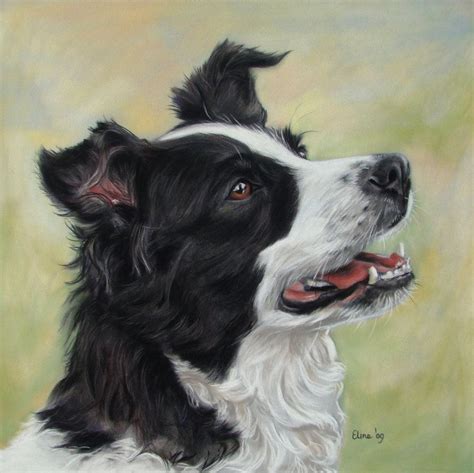 'Border Collie' by ~Eline-portraits on deviantART Puppy Art, Dog Art ...