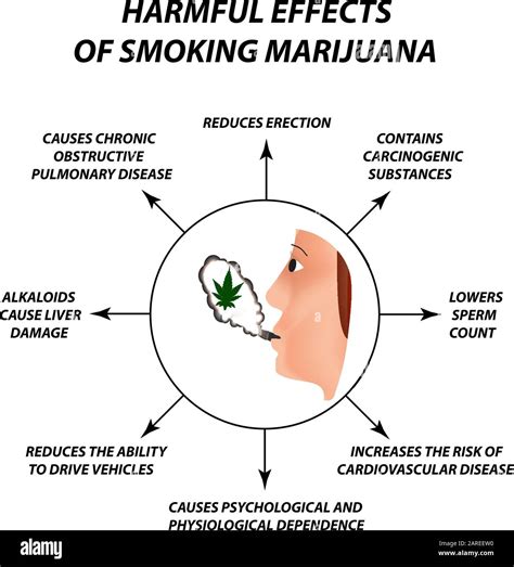 The harmful effects of smoking marijuana. Harmful properties of smoking cannabis. Cannabinoid ...