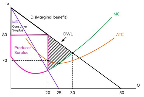 Monopoly Graph Consumer Surplus