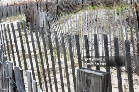 Beach And Sand With Erosion Fences Protecting The Dunes New Jersey High-Res Stock Photo - Getty ...