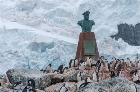 12 Photos of Elephant Island That Will Make You Want To Go To Antarctica | Antarctica, Photo ...