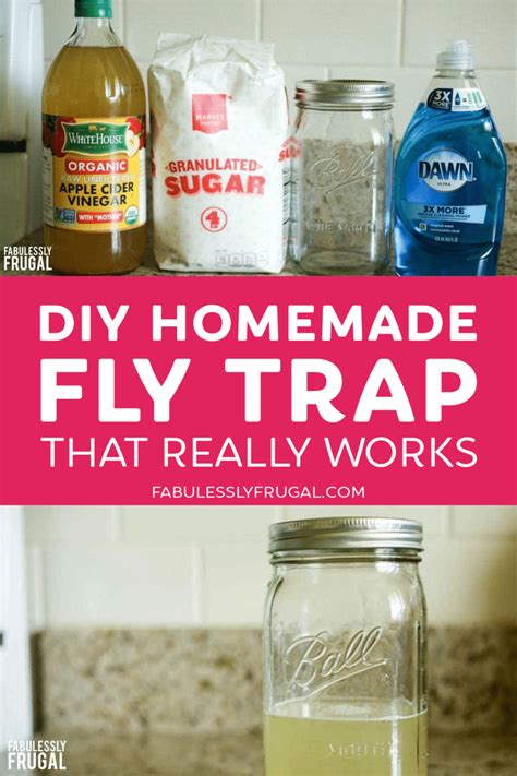 diy fly trap bottle - Lawanda Ragsdale