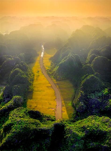 Vietnam: Admire stunning golden rice fields during the harvesting time ...