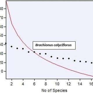 Abundance curve of Rotifer species. | Download Scientific Diagram